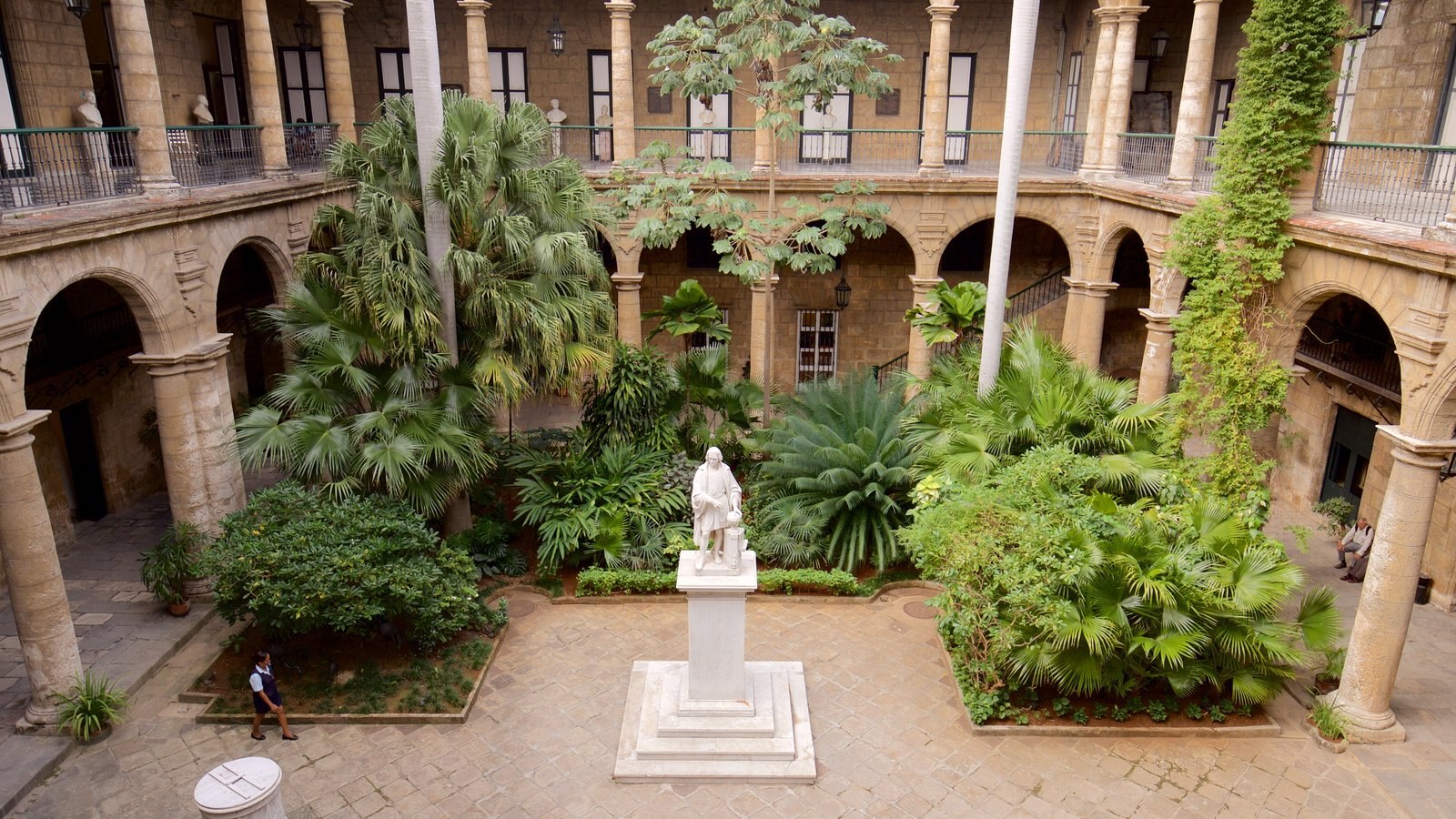 Guía profesional explicando ruta