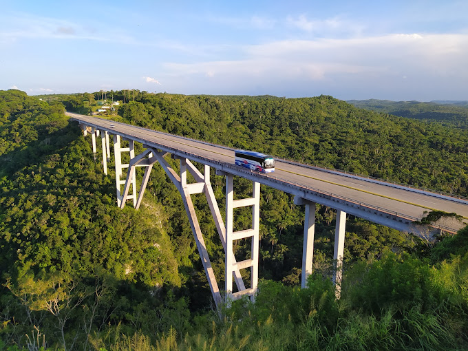Observación de vida silvestre